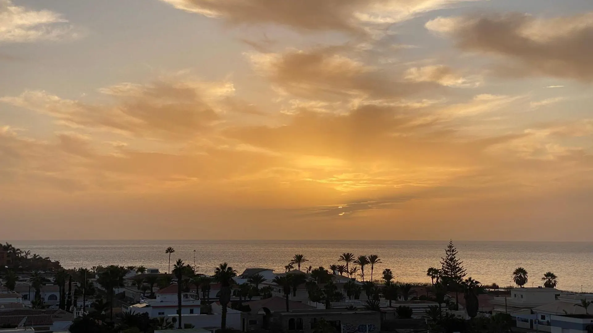 Flamingo Palm-Mar Apartment