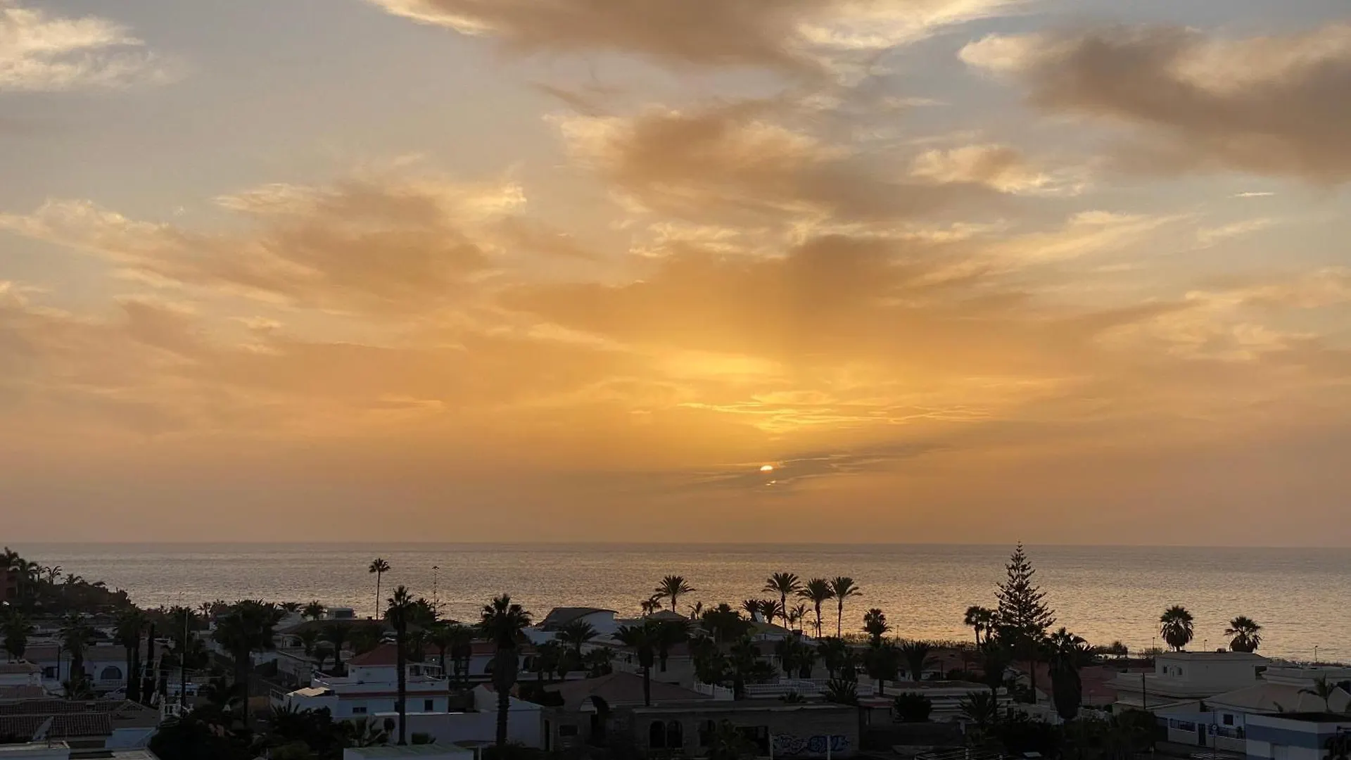 Flamingo Palm-Mar Apartment Spain